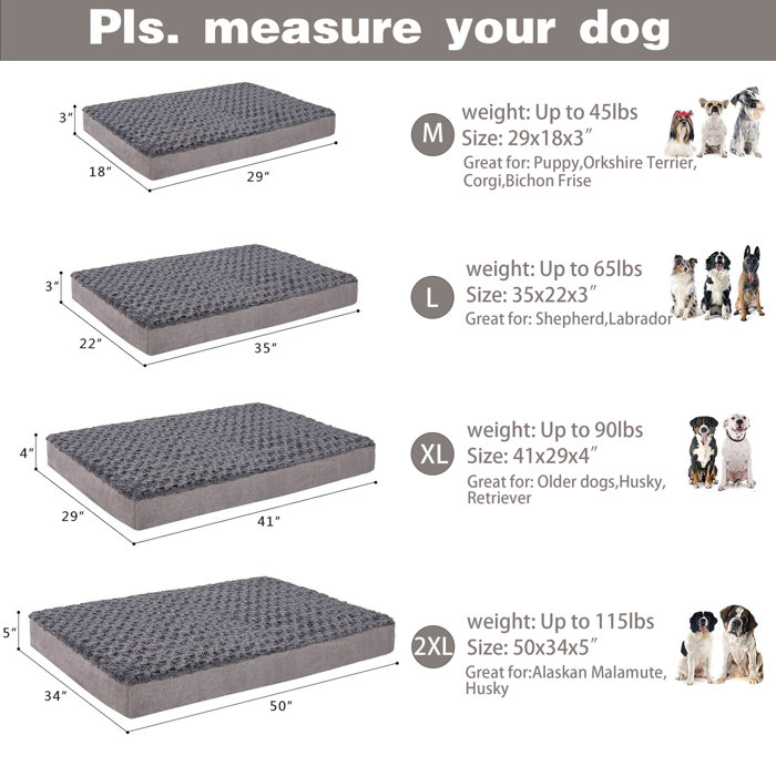 Tucker Murphy Pet™ Orthopedic Memory Foam Dog Bed, Cooling Dog Beds